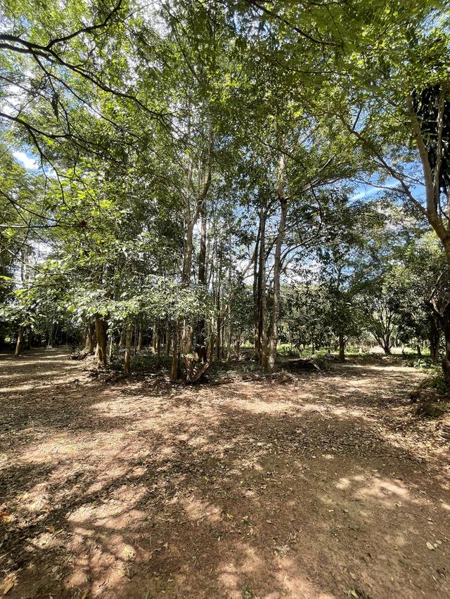 บ้านสวนปราจีนบุรี 4