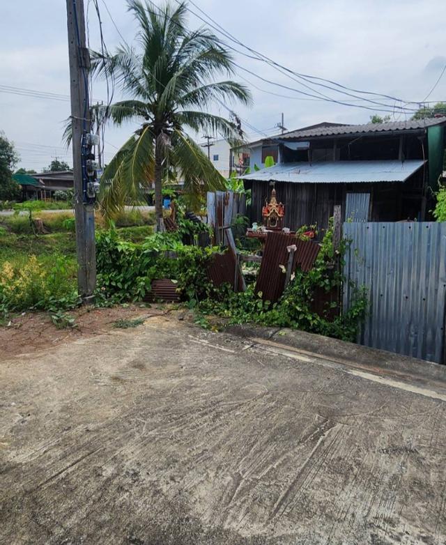 บ้าน2ชั้นพร้อมที่ดิน 2