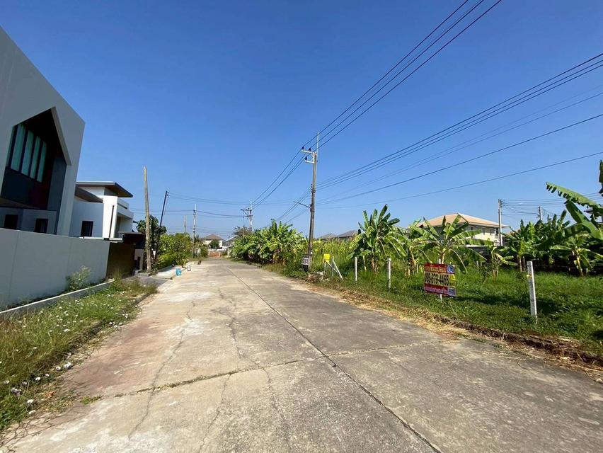 ขายต่ำกว่าประเมิน ที่ดินหมู่บ้านปาริชาต 76 ตรว ถมแล้วทั้งแปลง โซน A62/1 ถนน 345 อ.เมืองปทุมธานี จ.ปทุมธานี 8