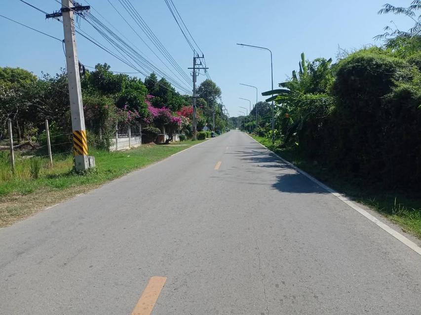 ที่ดินเปล่า 1ไร่ 95 ตรว 3
