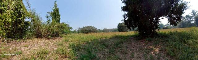 ขายที่ดินเปล่าในจ.ลำพูน ด้านหน้าติดถนนใหญ่ ติดแม่น้ำ พื้นที่สวย ทำเลดี อยู่ในเขตชุมชน ปลอดภัย ห่างจากสถานที่ราชการไม่เกิน 700 เมตร 9