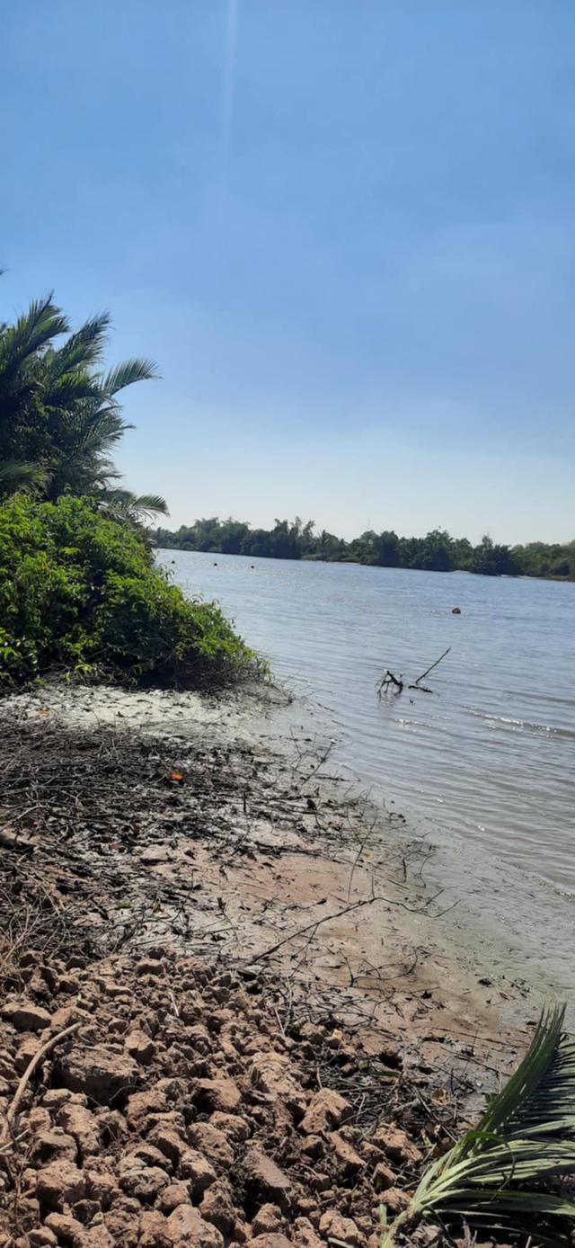 ที่ดินติดแม่น้ำบางปะกง บางกะเจ็ด/คลองเขื่อน 50 ไร่