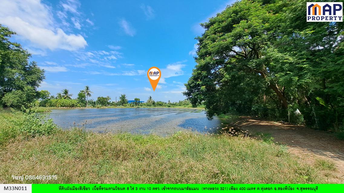 ที่ดินสองพี่น้อง ใกล้ถนนมาลัยแมน สุพรรณบุรี 6