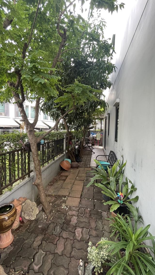 ทาว์นโฮมหลังริม ทำเลดีมากๆ ติดสนามหญ้าด้านข้างและด้านหลัง โครงการบ้านกลางเมือง งามวงศ์วาน 10