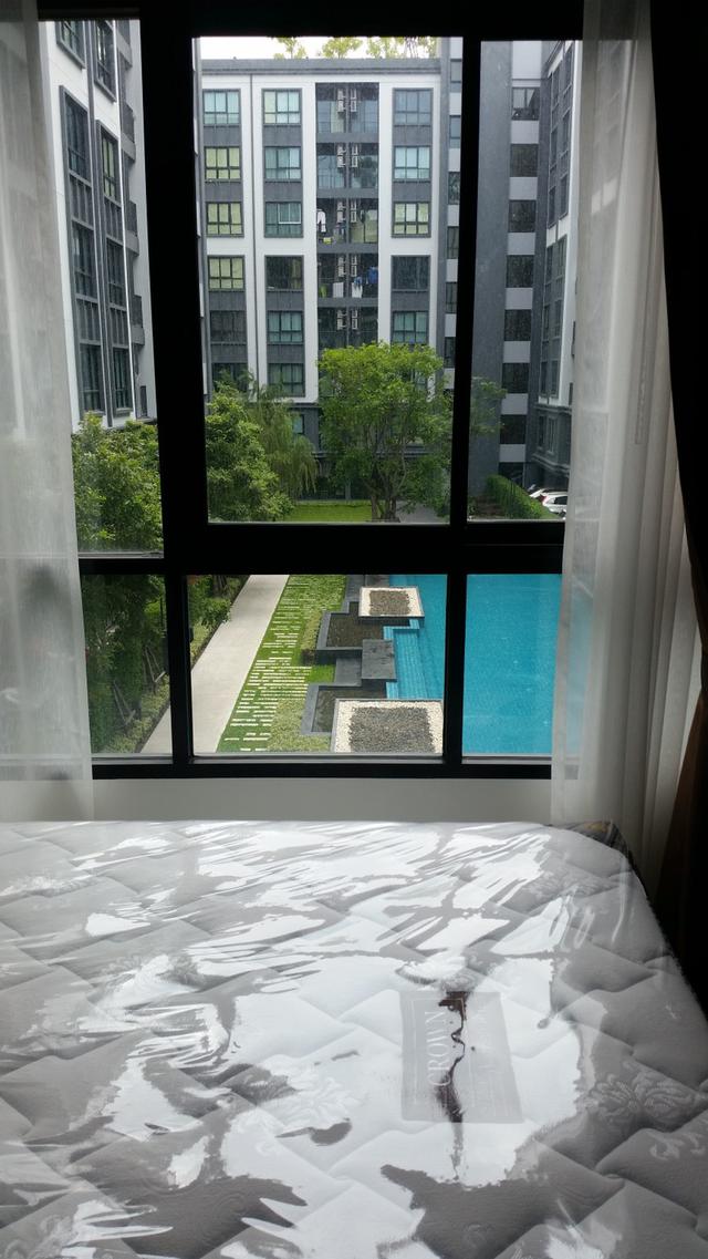 X ขายด่วนพร้อมผู้เช่า X คอนโดเคนซิงตัน แหลมฉบัง-ศรีราชา วิวสระน้ำ 3