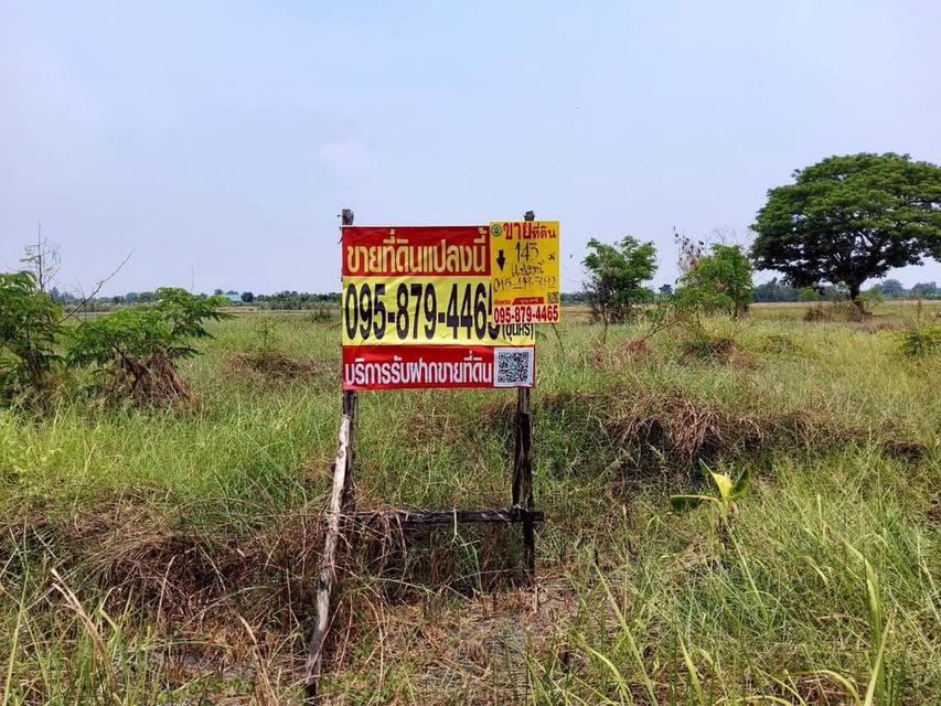 ขายด่วนที่ดิน 143 ตารางวา ติดถนน 2 ด้าน แปลงมุมบึงบอน 3 หนองเสือ ปทุมธานี 1