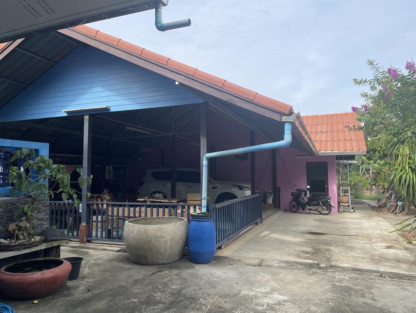 ขายบ้าน ที่ดิน พร้อมอยู่ 3
