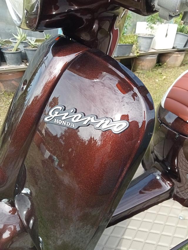 Honda Giorno 50cc