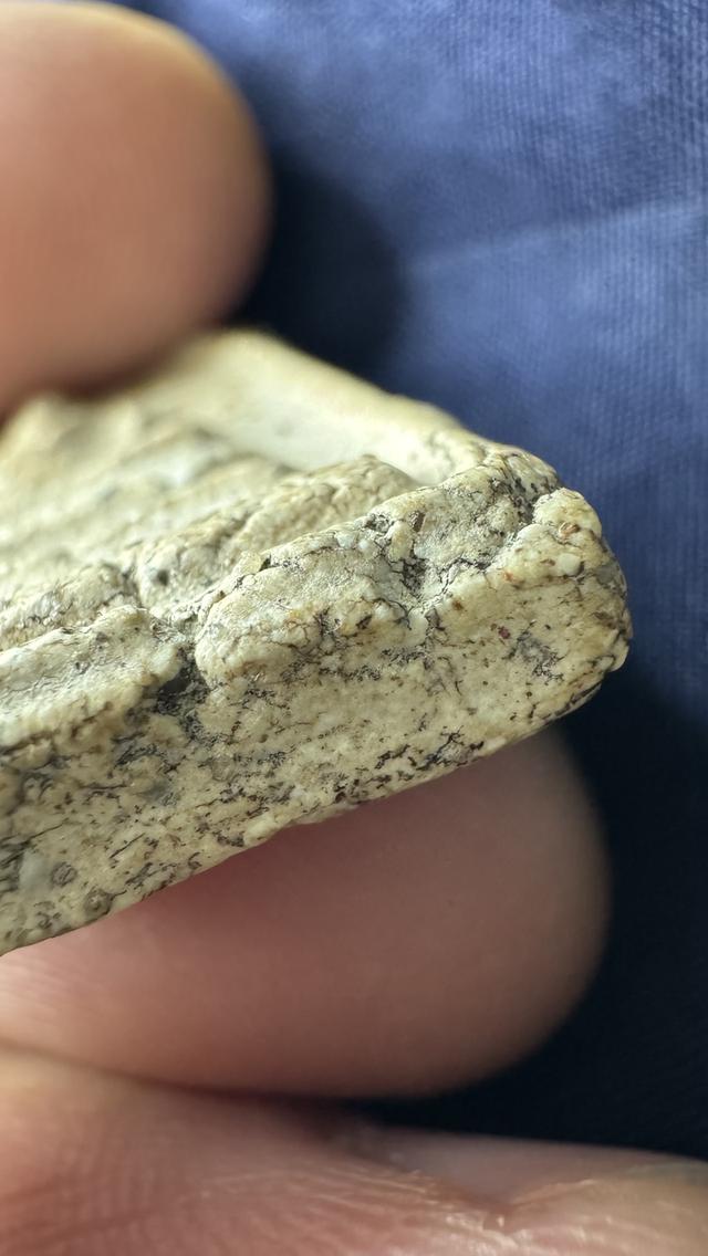 พระเครื่อง 8