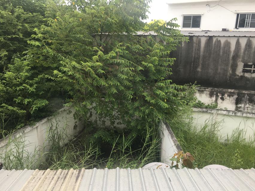 ขายอาคารพาณิชย์ 2ห้อง 3ชั้น (ห้องริม) เนื้อที่ 68.9ตรว.ทำเลดี เหมาะพัฒนาเป็นสำนักงาน ห้างร้าน ตำบลหนองขาม ศรีราชา ชลบุรี ใกล้นิคมปิ่นทอง 1,2,3,4 12