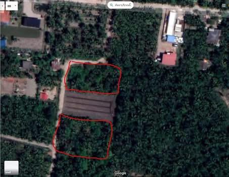 ที่ดินร่องสวน เหมาะทำที่พัก โฮมสเตย์ 5