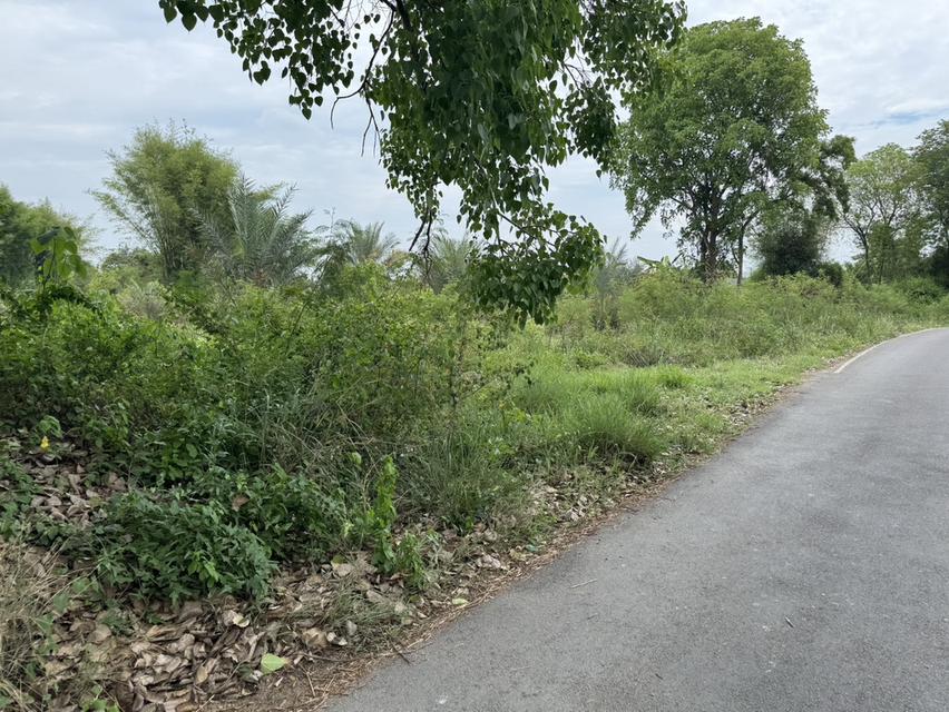 ขายที่ดิน 376 เกือบไร่ โฉนด สวยๆ สันปาตอง เชียงใหม่ Land on sale at San Pa Tong Chiang Mai 2
