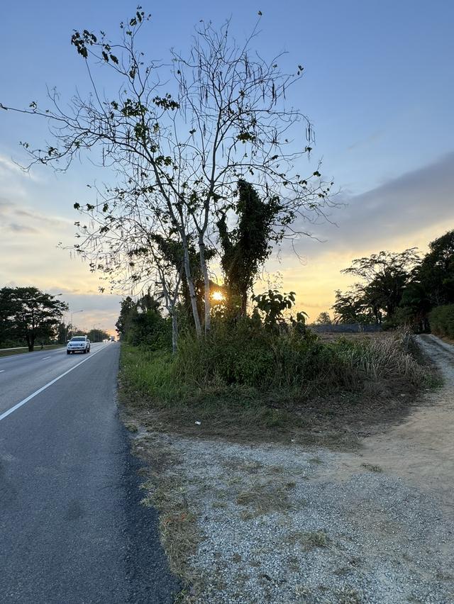 ขายที่ดินขาเข้าขาออกภูเก็ต โคกลอย 3