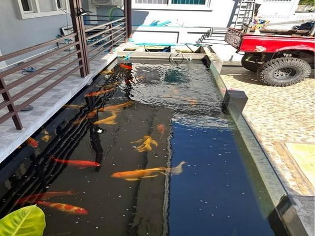 PB5941ขาย บ้านเดี่ยว คลองหลวง ปทุมธานี ซอยคลองห้าตะวันตก73 บ้านสภาพใหม่เจ้าของดูแลดีมาก 5