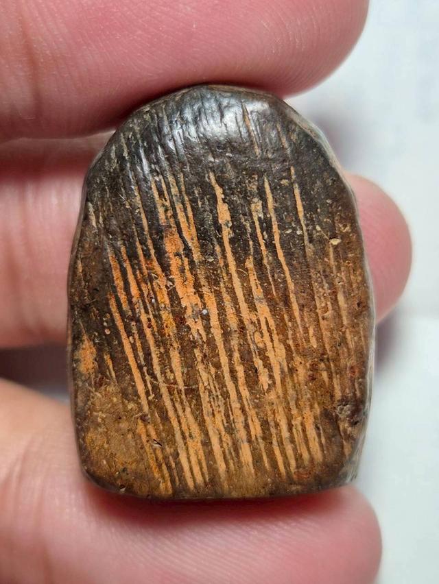 พระซุ้มกอ เปิดเช่าบูชา 3