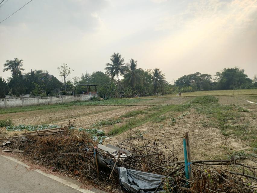 ที่ดินในตำบลบ้านแป้น อ.เมือง ลำพูน 4