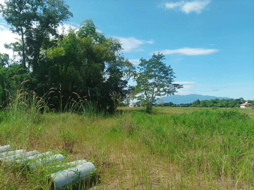 ขายที่ดิน ราคา3,980/ตร.ว. ต.สำราญราษฎร์ อ.ดอยสะเก็ด จ.เชียงใหม่ 1