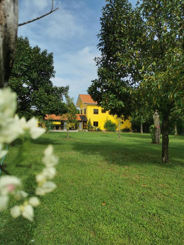 ขายบ้านเดี่ยวสไตร์ยุโรป 2 ห้องนอน ในทำเล คลองปูน แกลง, ระยอง 20