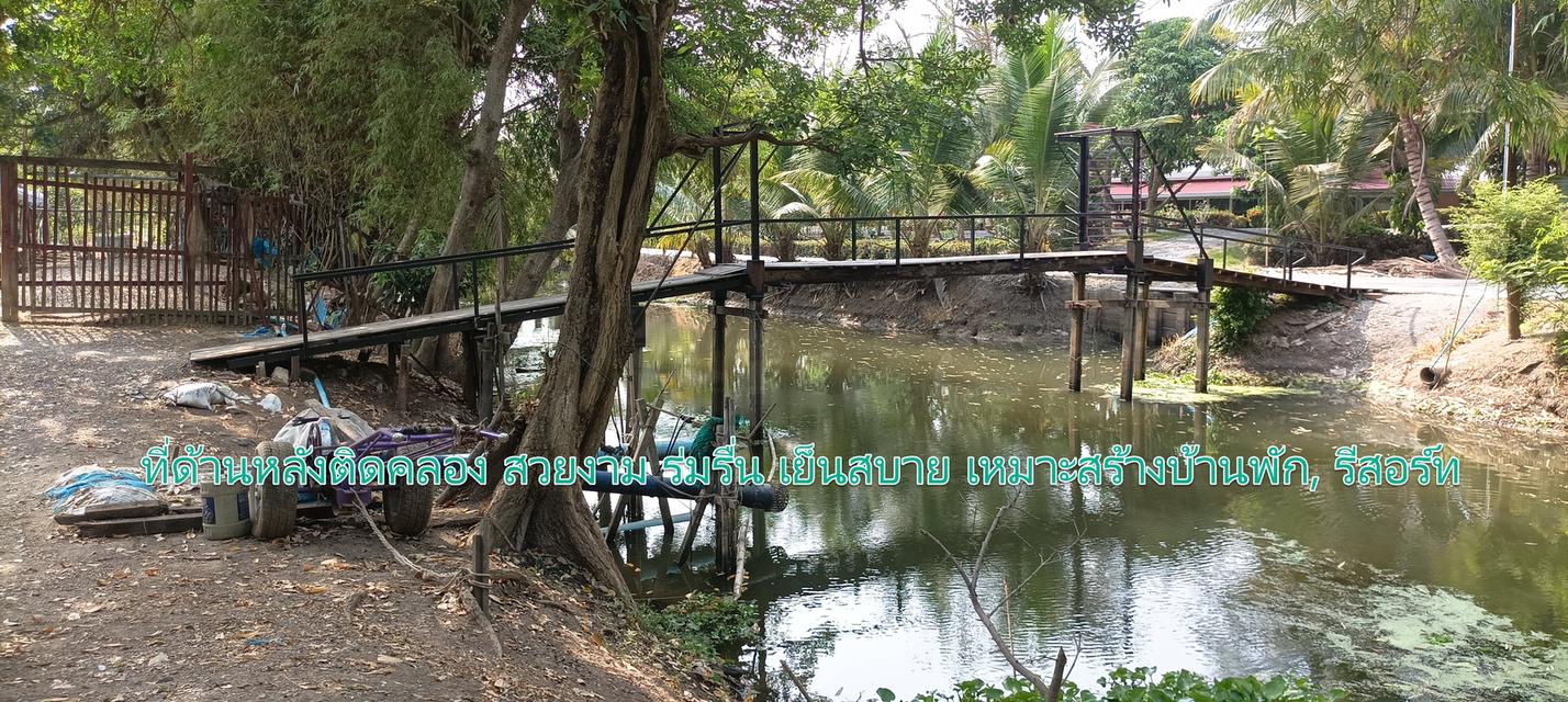 ที่ดินติดถนน 346 บางเลน ที่อยู่ด้านข้างและด้านหลัง อบต.บางภาษี เนื้อที่ 11ไร่ ลดพิเศษ เหลือไร่ละ 1.5 ล้าน 5