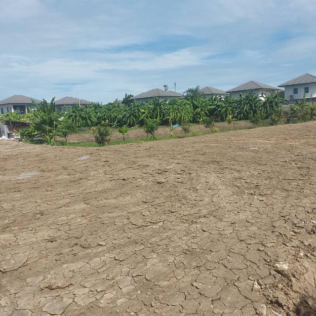 ที่ดินเปล่า​2ไร่215ตารางวา 6