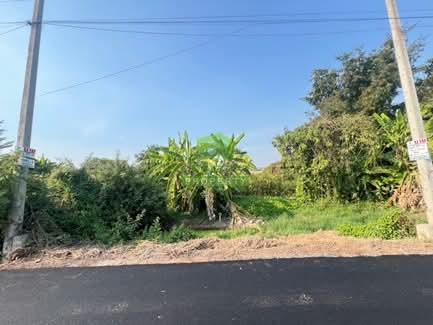 ขายที่ดินโครงการศาลายาการ์เด้น28 5