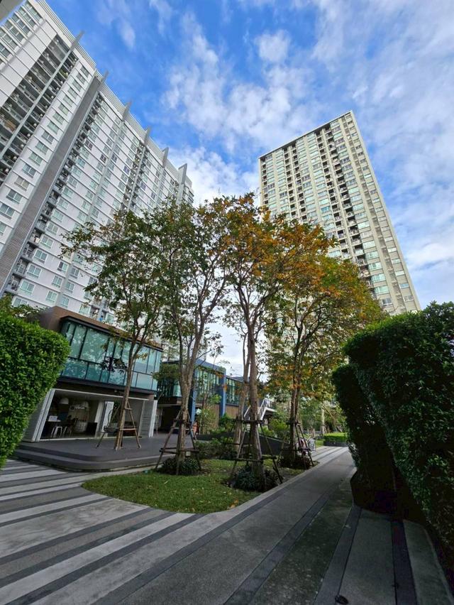 คอนโดยูดีไลท์ @ตลาดพลู 7