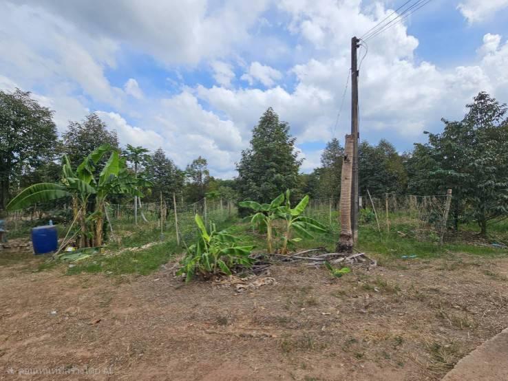 ขายที่ดินพร้อมสวนผลไม้ 5 ไร่  อำเภอนายายอาม จันทบุรี 2