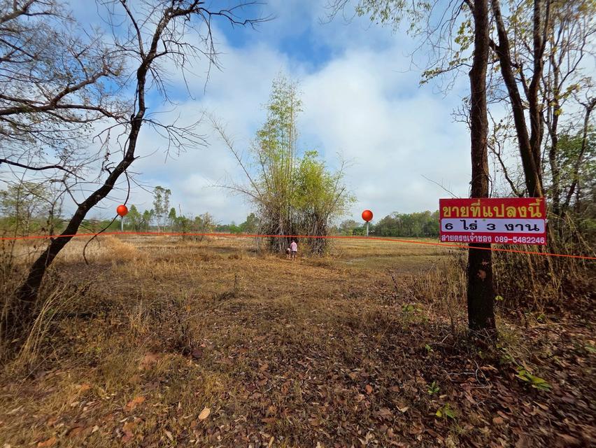 ขายด่วน ที่ดิน ติดรั้วหลัง ม.เกษตรศาสตร์ จังหวัดสกลนคร 1