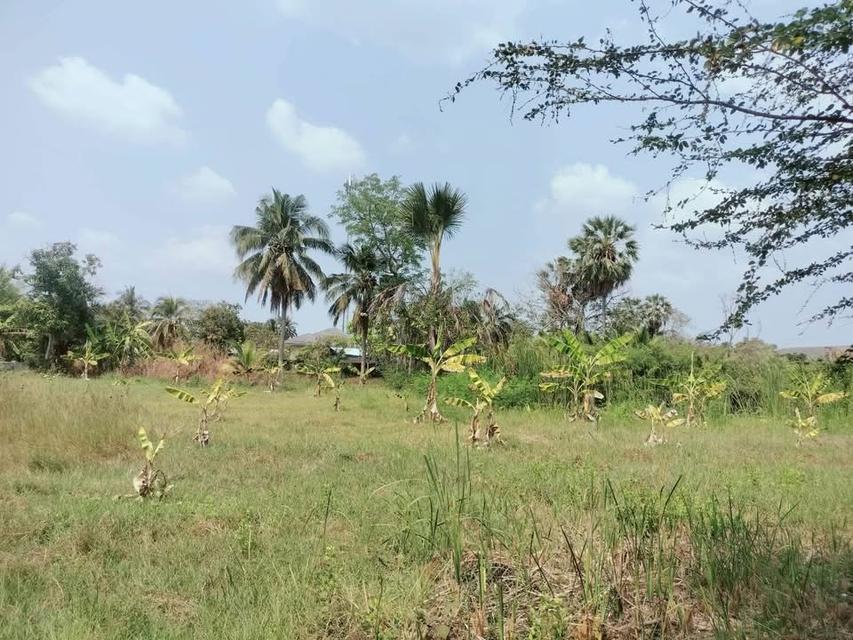 ขายด่วนที่ดิน 400 ตารางวา ติดถนนหินคลุกสาธารณะ อ.นครชัยศรี จ.นครปฐม 4