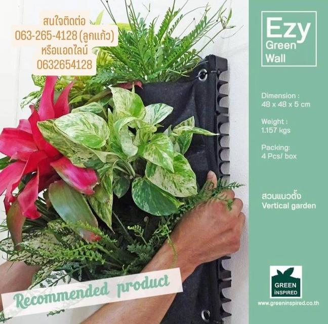 Ezy Greenwall แผงปลูกสวนแนวตั้ง สวนแนวตั้งสำเร็จรูป สวนแนวตั้งติดตั้งง่าย