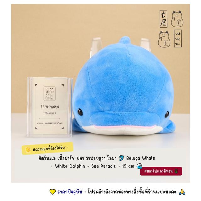 สัตว์ทะเล เนื้อมาร์ช ปลา วาฬเบลูวา โลมา 🐬 Beluga Whale ・ White Dolphin ~ Sea Paradise ~ Standard 19 cm 🌊