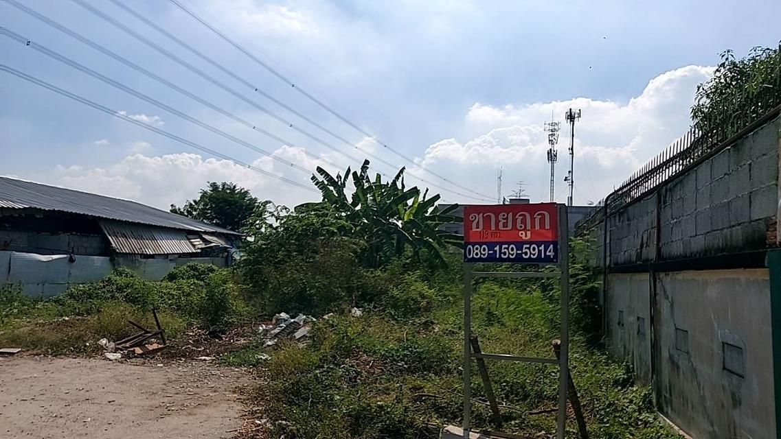 ขายที่ดิน ทำเลดี ที่สวย 1