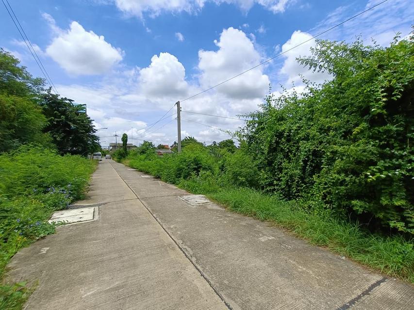 ที่ดินจังหวัดสุพรรณบุรี หน้าแปลงติดถนน ราคาคุยกันก่อนได้ค่ะ 5