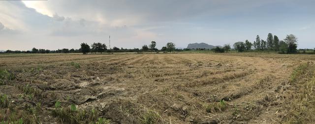 ขายที่ดิน 12 ไร่ ใกล้ชุมชน ตำบล กลอนโด อำเภอ ด่านมะขามเตี้ย จังหวัด กาญจนบุรี ติดถนน และ คลองส่งน้ำ เหมาะสำหรับทำการเกษตร และ ที่อยู่อาศัย 6