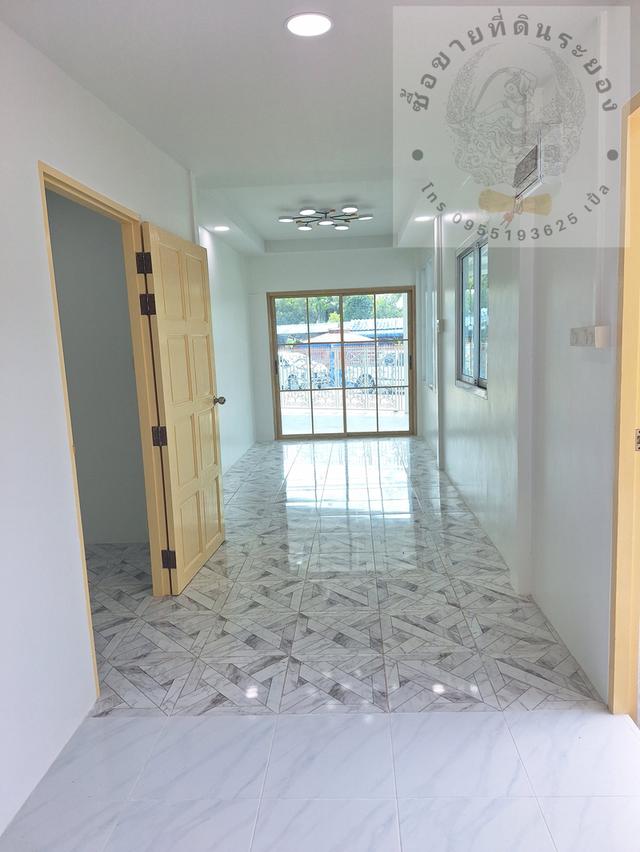 สวนทุเรียนแปลงเล็กระยอง 6