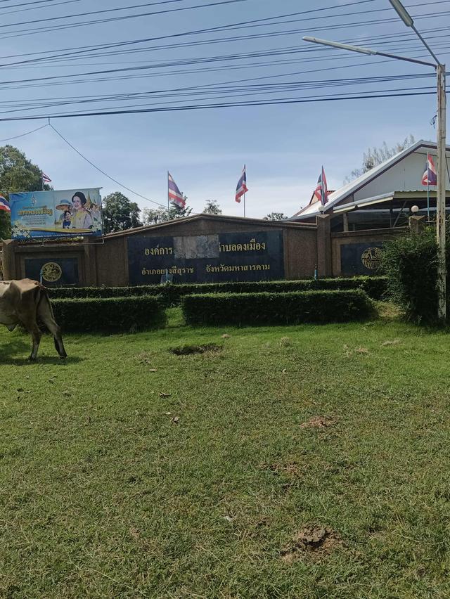 ที่ดินตรงข้ามอบตดงเเมือง ขนาด1ไร่ 2งาน 6