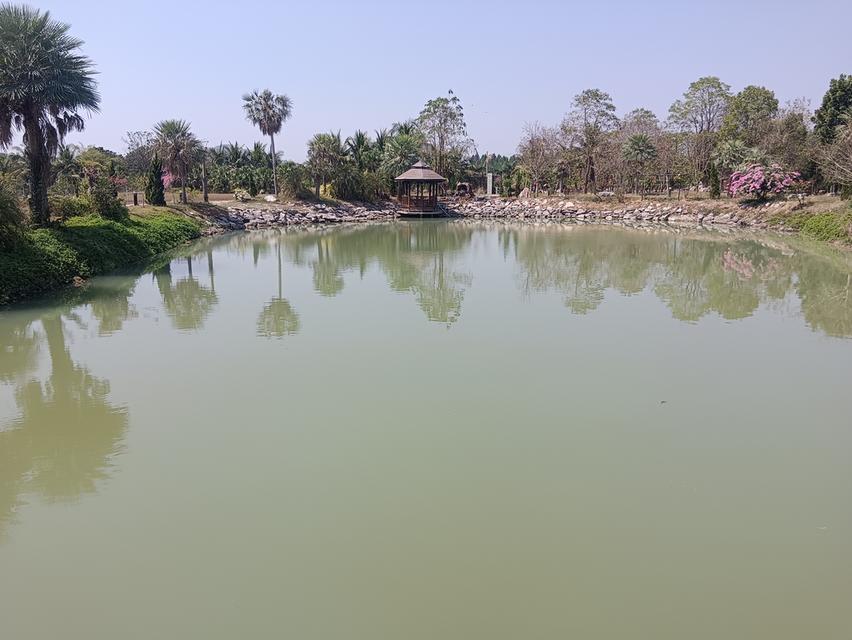 ขายที่ดินเนื้อที่ 9-1-52.4 ไร่ พร้อมสิ่งปลูกสร้าง ต.ทุ่งหลวง อ.ปากท่อ จ.ราชบุรี 14