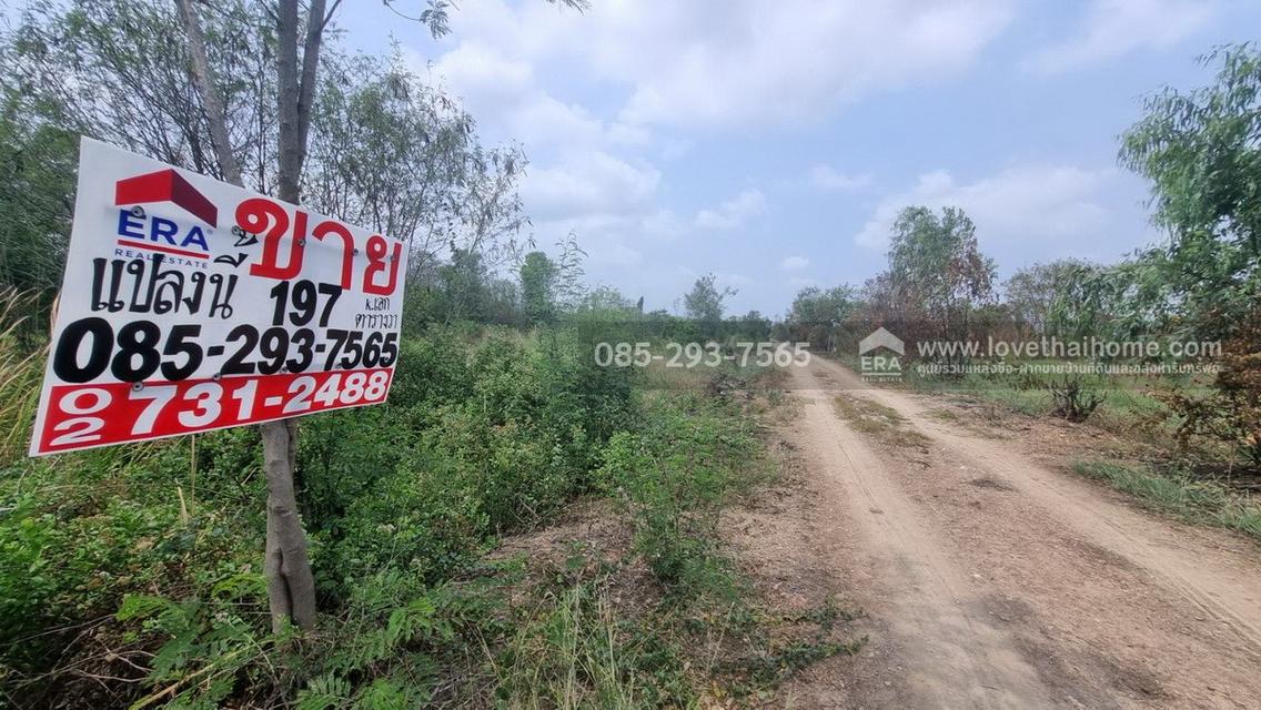 ขายที่ดิน ถนนกรุงนนท์-จงถนอม ซอยศรีกมล ต.คลองโยง อ.พุทธมณฑล นครปฐม พื้นที่ 197 ตารางวา ขาย 1.1 ล้านบาท ใกล้มหาวิทยาลัยราชภัฎสวนสุนันทา 2