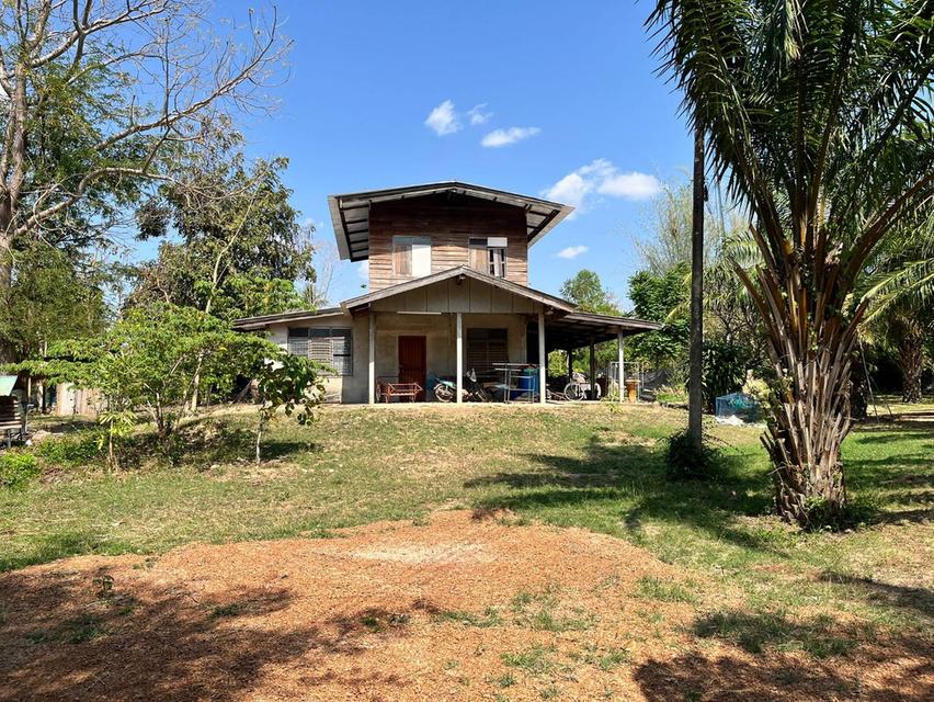 ขายที่ดินติดเขื่อนลำปาว กาฬสินธุ์ พื้นที่รวม 55 ไร่ เหมาะพัฒนารีสอร์ทหรือโครงการท่องเที่ยว 16