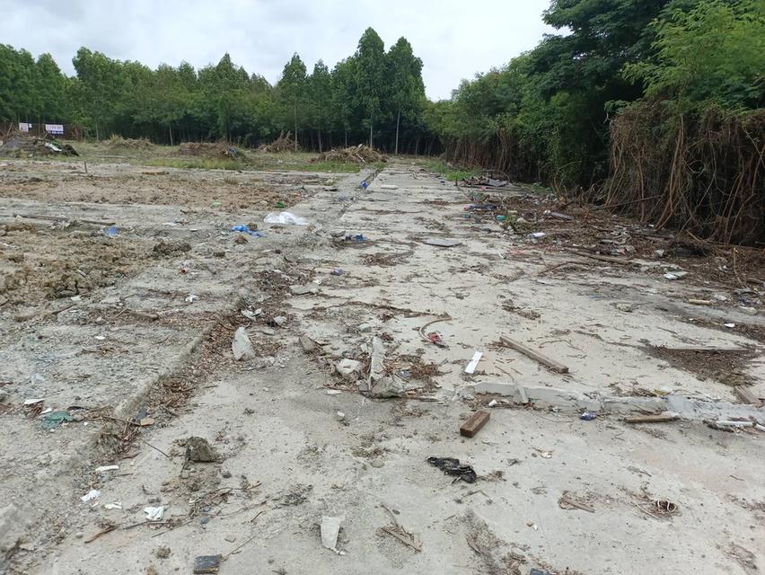 land for sales on taparak road km.18 soi bangpra65 bangpee samutapakarn near interairport 3