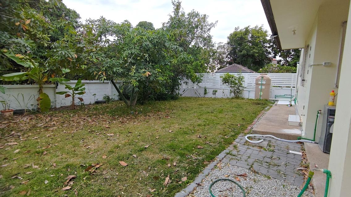 🏡House for rent 3 bedroom 2 bathroom. 140 sq.wah of land. 📌Lomtalay 1 village (Banchang District) 4