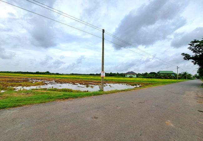 ขายที่ดิน บึงเทพยา ตำบลบางน้ำเปรี้ยว อำเภอบางน้ำเปรี้ยว ฉะเชิงเทรา 5