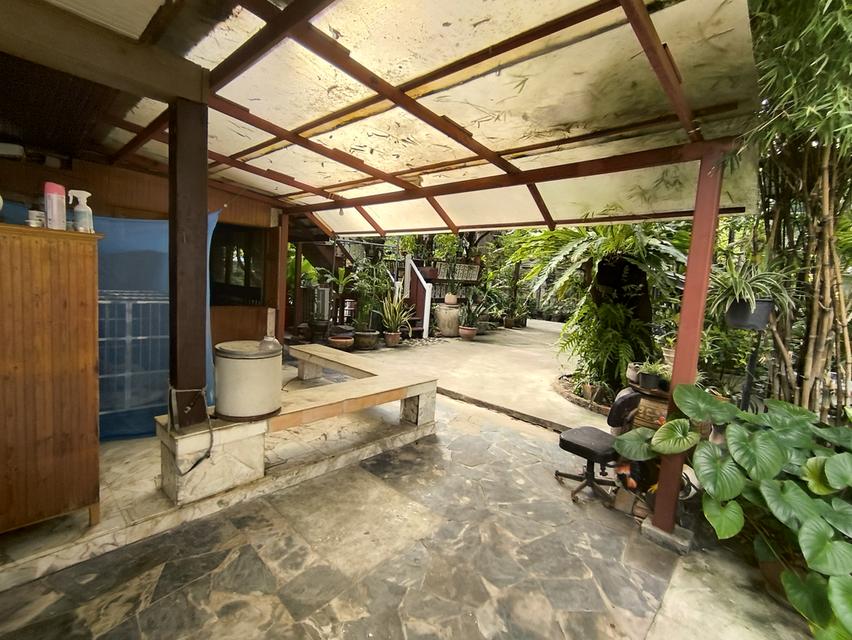 บ้านเดี่ยวเนื้อที่ 446 ตรว. ใจกลางเมือง เหมาะสำหรับลงทุน 11