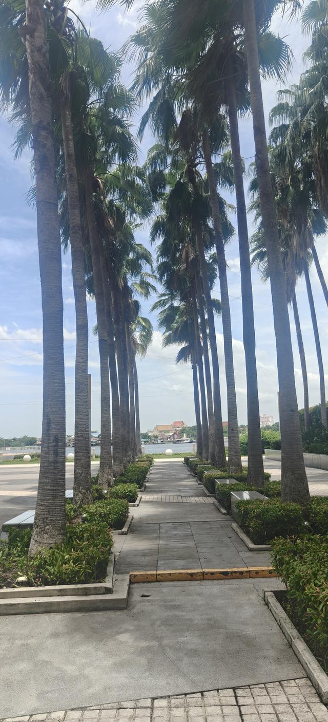 Lumpini Park Riverside - Rama III 19