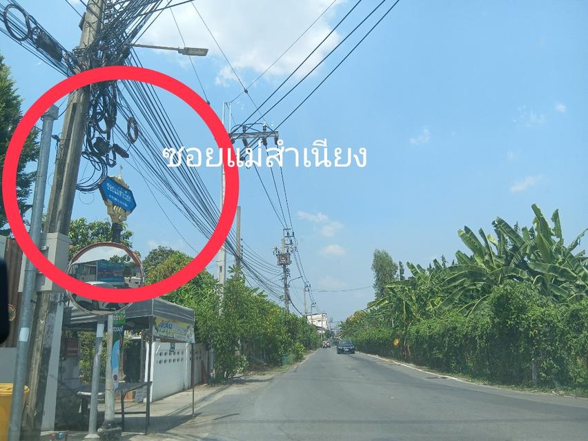 ขายที่ดิน 204 ตารางวาถมแล้ว ซอยแม่สำเนียง ตำบลเสาธงหิน อำเภอบางใหญ่ จังหวัดนนทบุรี 7