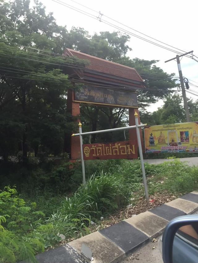 ขายที่ดิน 19 ไร่ ตำบลบ้านงิ้ว  อำเภอสามโคก  จังหวัดปทุมธานี 1