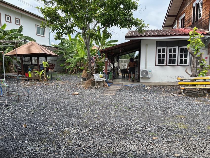 ทีดินพร้อมสิ่งปลูกสร้าง 3