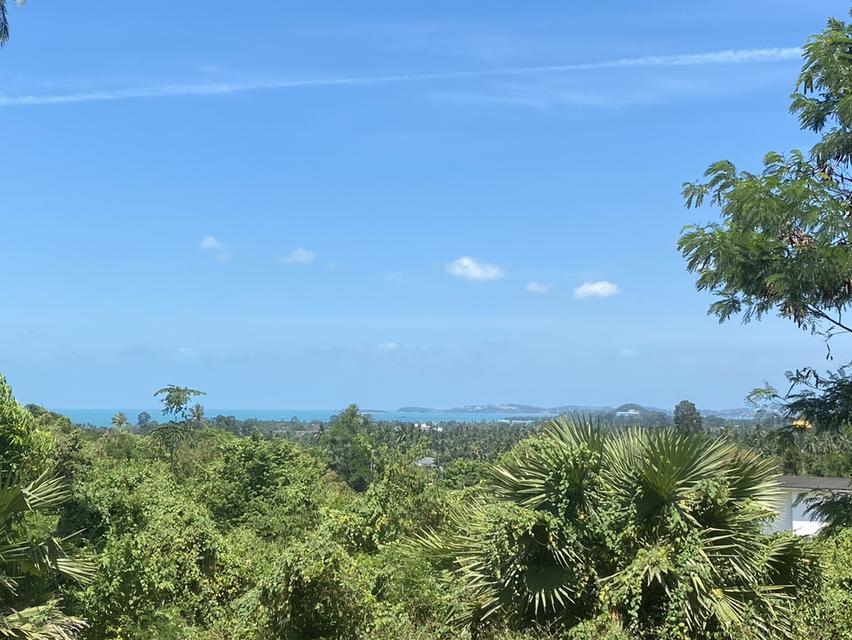 📍Land For Sale in KOH Samui 1
