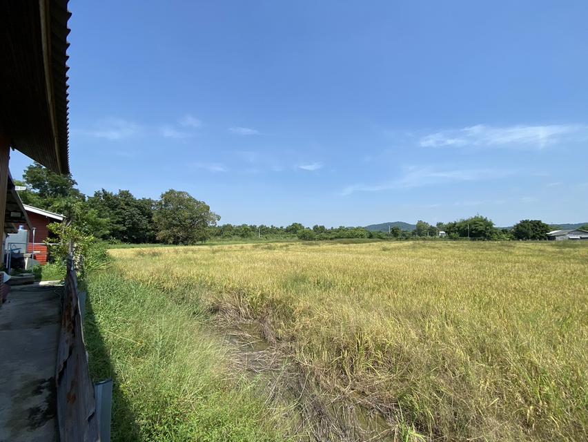 ขายที่ดินโคกกรุง แก่งคอยบ้านนา (ชุมชนชำผักแพว) อ.แก่งคอย จ.สระบุรี 11