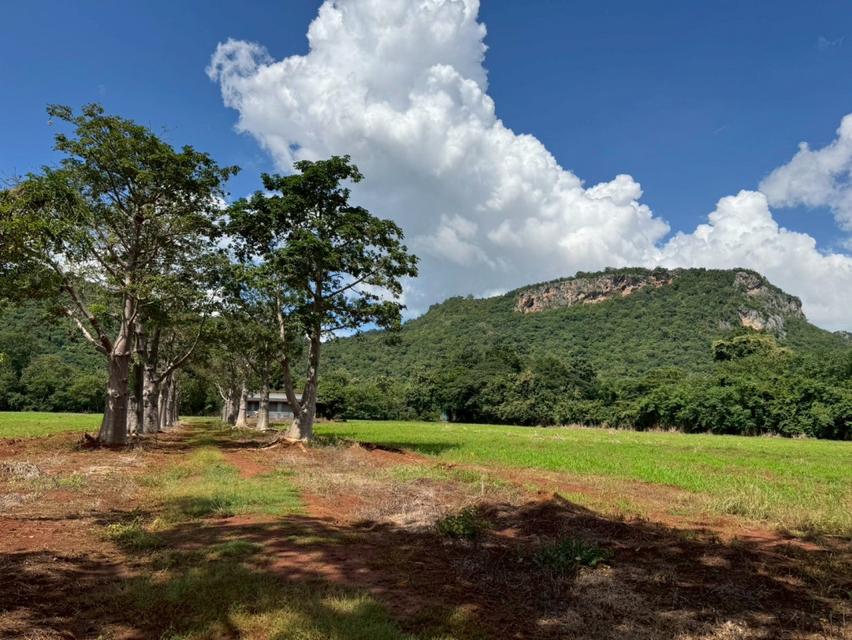 ขาย ที่ดินเปล่า เขาใหญ่ ถ.ธนะรัชต์ เหมาะสร้าง รีสอร์ท โรงแรม คอนโด สถานที่ท่องเที่ยว  32-1-96 ไร่ 4